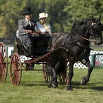 Carriage Classic